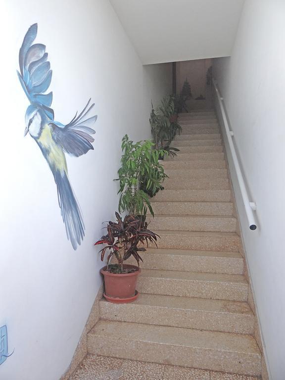 Apartamentos Dominguez Calera Ngoại thất bức ảnh